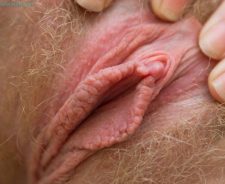 Big Clits With Hairy Pussy Lips