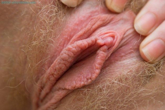 Hairy pussy lips