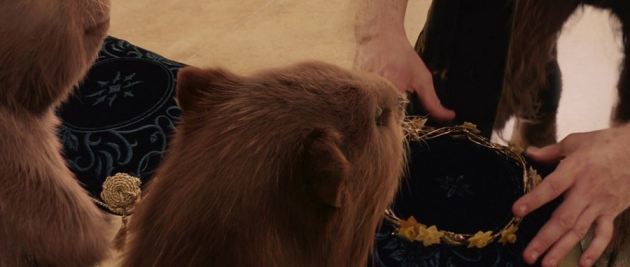 Chronicles Narnia Lion Witch Wardrobe