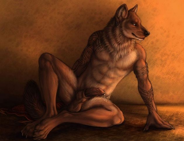wolf furry gay pron