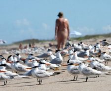 Nude Playalinda Beach Canaveral National Seashore