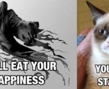 You Will Starve Grumpy Cat